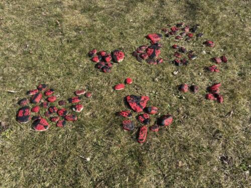 485796134 122147125454480596 7020929771933426041 n