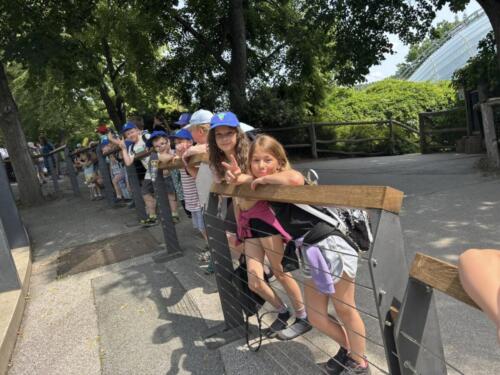 Výlet Zoo Praha