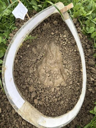 565115560 122189814422480596 8886094836442895401 n