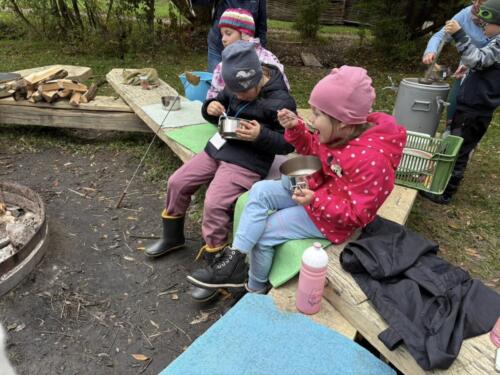 565138560 122190044186480596 7942744583253155785 n