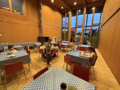 565158645 122190044306480596 544457897857719736 n