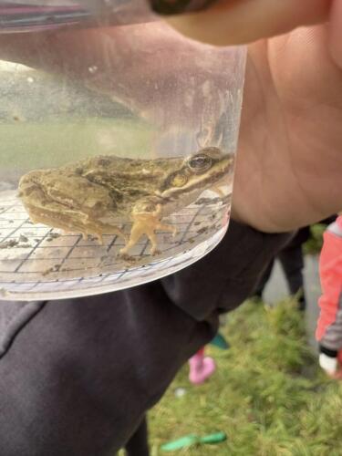 565270629 122190291422480596 1086021361298753859 n