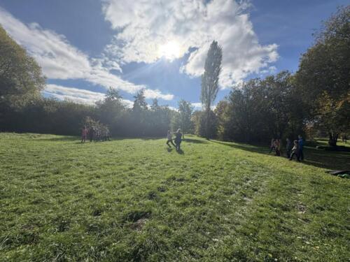 565343912 122189399210480596 299925997414350682 n