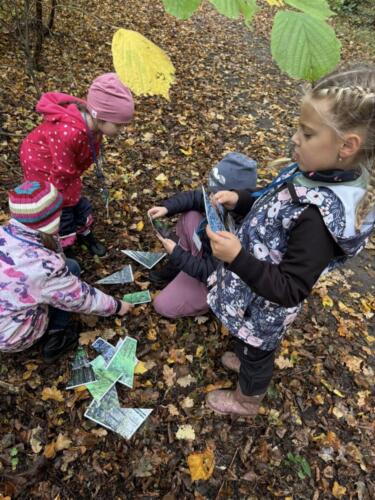 565656055 122190044324480596 6134572423013998545 n