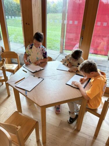 565703376 122190409166480596 6826508977843463633 n