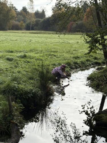 565786169 122189814368480596 369653312626478794 n