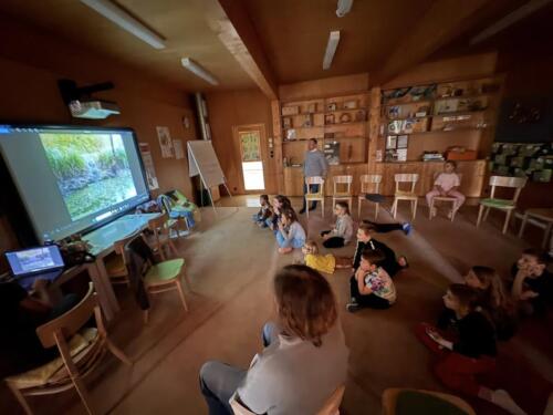 566171594 122190291908480596 1937338435608674992 n