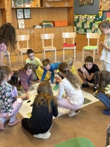 566210921 122189814554480596 8015339829653315184 n