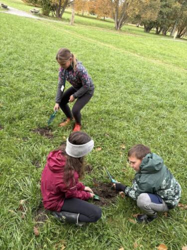 566213419 122190291812480596 3065221270630418256 n