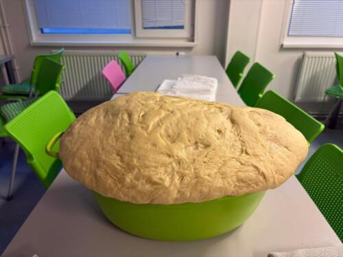 632384540 122208102440480596 7668512682797340106 n