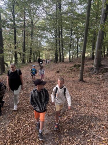 IMG 2159 (1)