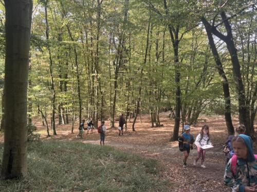 IMG 2161 (1)