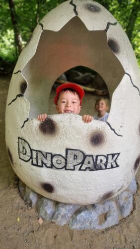 IMG-20260617-WA0008